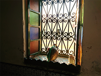 Kairouan09.jpg