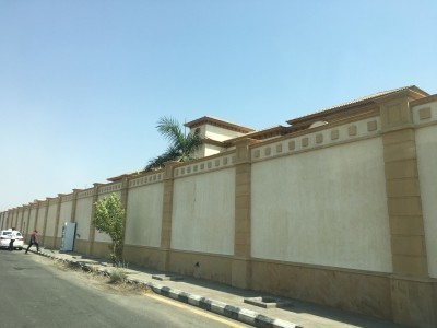 Saudi1709_2-13.jpg