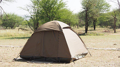 Serengeti_P7051013_400.jpg