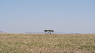 Serengeti_P7051027_400.jpg