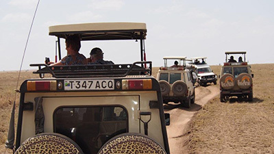 Serengeti_P7051215_400.jpg