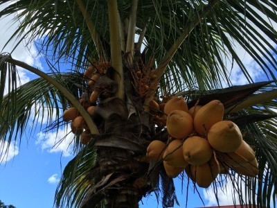 Seychelles08_06.jpg