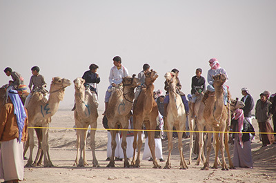 Sinai Camel Race_3989_400.jpg