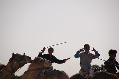 Sinai Camel Race_4003_400.jpg