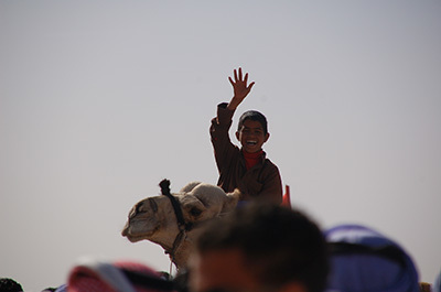 Sinai Camel Race_4100_400.jpg