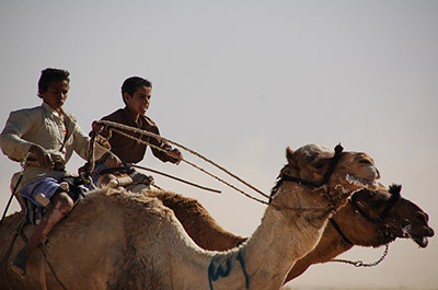 Sinai Camel Race_4113_400.jpg