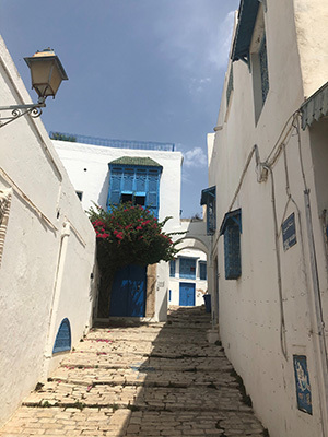 Tunisia_Sidi_6791181.jpg