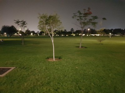 Umm Al Emarat Park_12.jpg