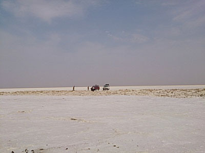 ed61_400.jpg