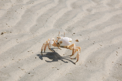 masirah21.jpg