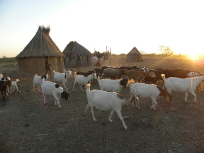 namibia_009.jpg